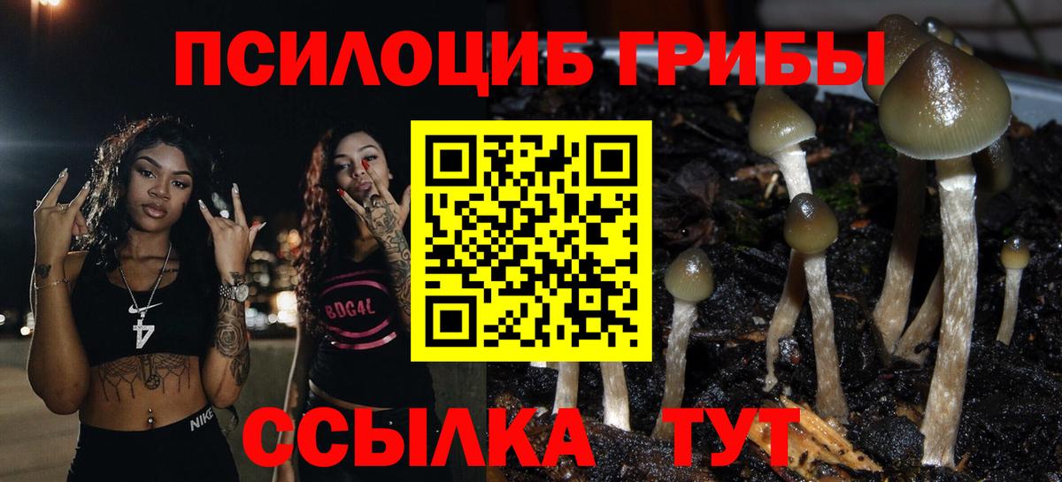 Псилоцибиновые грибы Magic Shrooms Кондопога