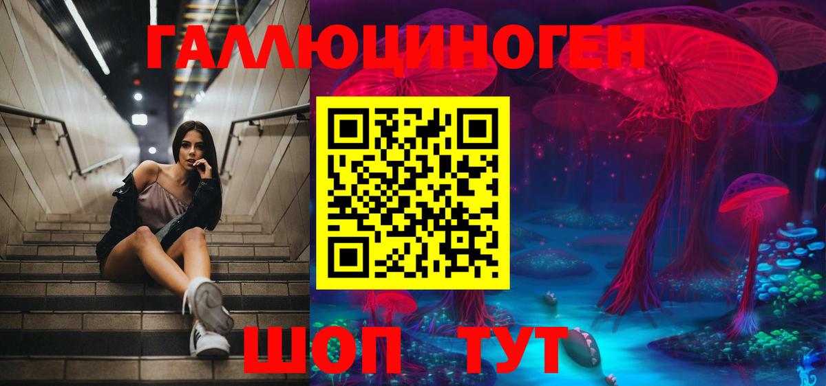Псилоцибиновые грибы GOLDEN TEACHER  Вход с VPN  Кондопога 